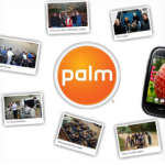 Palm Connections Main