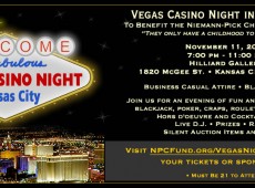 Vegas Casino Night