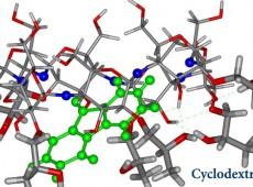 Cyclodextrin