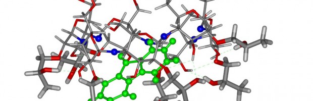 Cyclodextrin