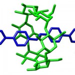 Cyclodextrin Niemann-Pick