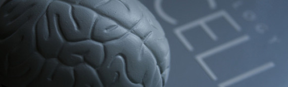 Potential Breahthrough in Niemann-Pick Type C Research