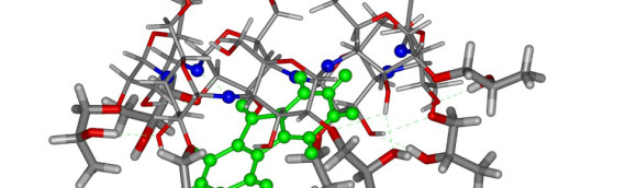 NIH Clinical Trial of Cyclodextrin Update